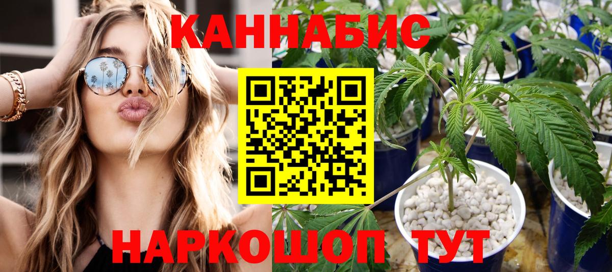 Шишки марихуана гибрид  Канабис план  Нижний Тагил  Вход с VPN  Конопля тримм 